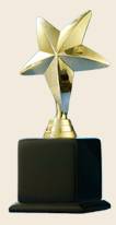 Shashi Deshmukh & Associates - Awards